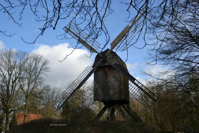 Rund um den Annateich im Hermann-Löns-Park Hannover - die alte Bockwindmühle steht seit 2012 frisch restauriert wieder an ihrem Patz am Parkeingang (Foto: Katja Woidtke)

