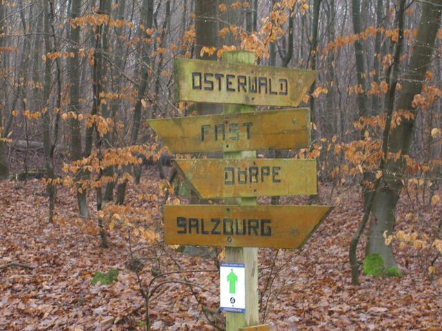 Wo gehen wir hin