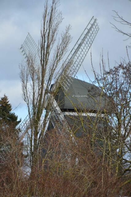 Mühlenmontag - Anderter Mühle (Foto: Katja Woidtke)