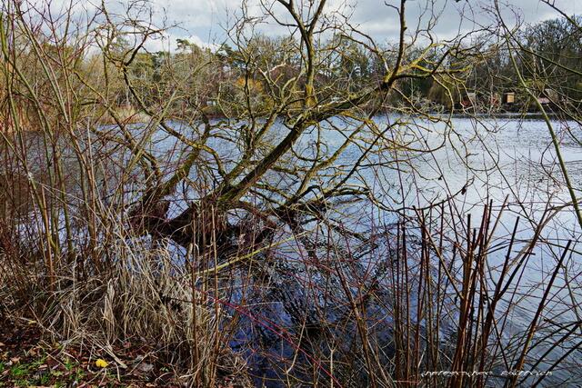 Foto: Meine Fotos unterliegen dem gesetzlichen Copyright. Jede Verwendung und Weitergabe ist nur mit meiner ausdrücklichen (schriftlichen) Zustimmung erlaubt.