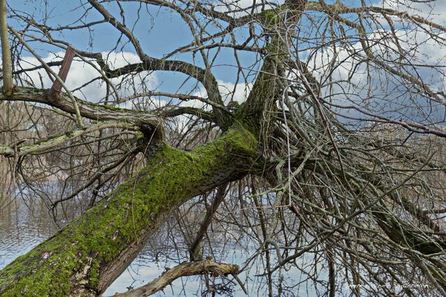 Foto: Meine Fotos unterliegen dem gesetzlichen Copyright. Jede Verwendung und Weitergabe ist nur mit meiner ausdrücklichen (schriftlichen) Zustimmung erlaubt.