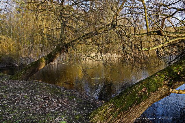 Foto: Meine Fotos unterliegen dem gesetzlichen Copyright. Jede Verwendung und Weitergabe ist nur mit meiner ausdrücklichen (schriftlichen) Zustimmung erlaubt.
