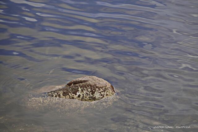 Foto: Meine Fotos unterliegen dem gesetzlichen Copyright. Jede Verwendung und Weitergabe ist nur mit meiner ausdrücklichen (schriftlichen) Zustimmung erlaubt.