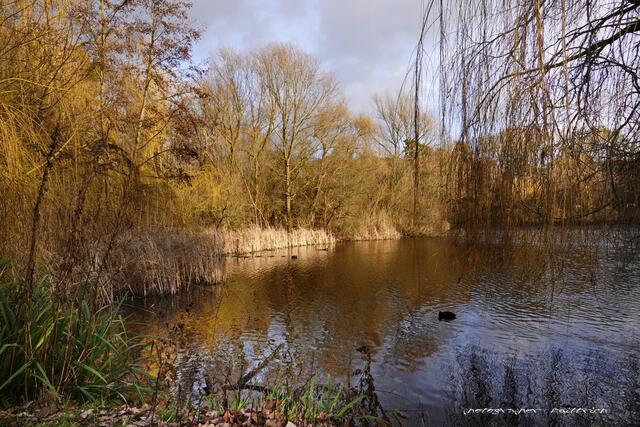 Foto: Meine Fotos unterliegen dem gesetzlichen Copyright. Jede Verwendung und Weitergabe ist nur mit meiner ausdrücklichen (schriftlichen) Zustimmung erlaubt.