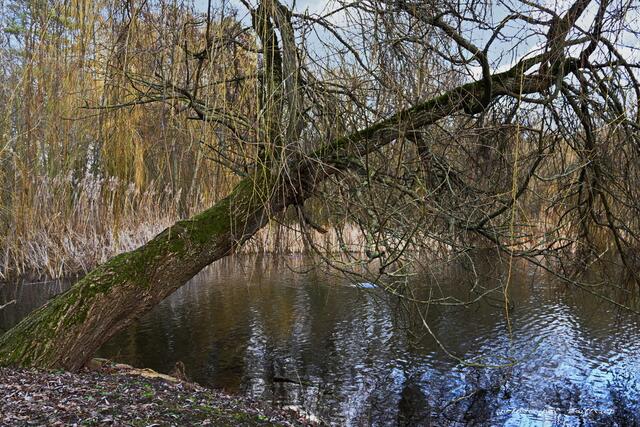 Foto: Meine Fotos unterliegen dem gesetzlichen Copyright. Jede Verwendung und Weitergabe ist nur mit meiner ausdrücklichen (schriftlichen) Zustimmung erlaubt.