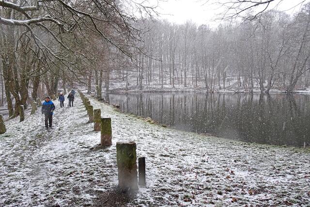 Staudamm am Sägemühlenteich