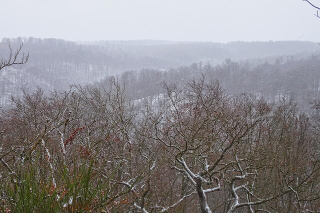 Blick von der Wolfsklippe