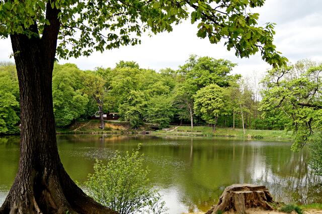 zu 4.) Mönchemühlenteich