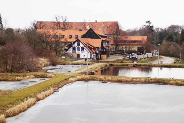 zu 4.) Fischteiche am "Klosterfischer" Kloster Michaelstein