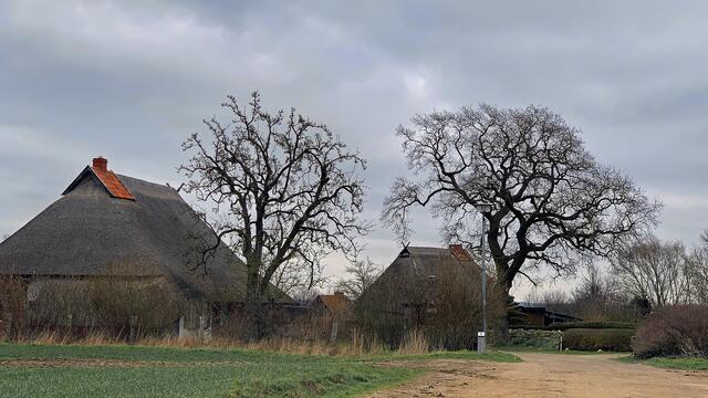 Das ehemalige Fischer- und Bauerndorf Hoben ist ein denkmalgeschützter Stadtteil von Wismar.