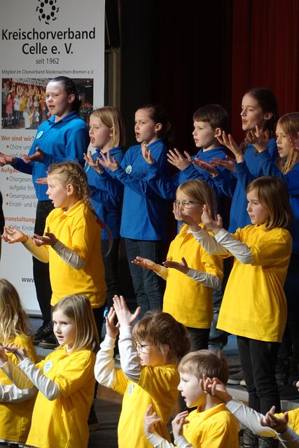 Der Grundchor Cantus Cordis Hardegsen | Foto: Cantus Cordis Hardegsen, nh