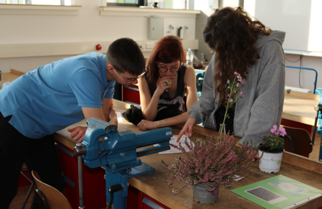 Station 7: Zierpflanzenbau. Hier musste erkannt und benannt werden. | Foto: Anna Pichlmeier