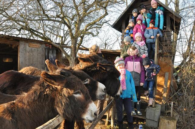 Wühlmäuse bei den Eseln von Martina Schuster | Foto: Walter Trettwer