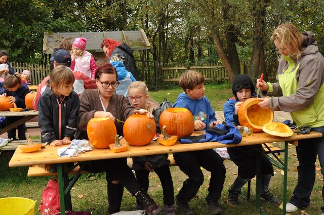 Wühlmäuse beim Kürbisschnitzen | Foto: Walter Trettwer