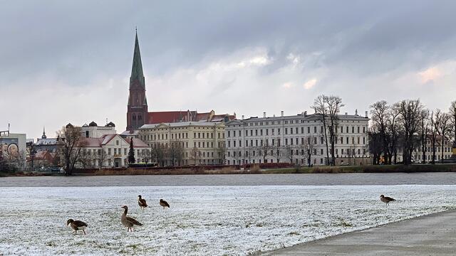 Auf der „Schwimmenden Wiese‟ halten sich am frühen Morgen ein paar Graugänse auf. Im Hintergrund überragt der Domturm das helle Gebäude der Staatskanzlei.