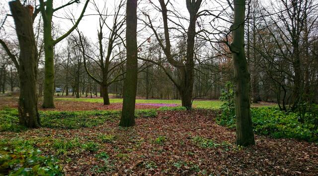 Ein grauer nasskalter Tag im Stadtpark