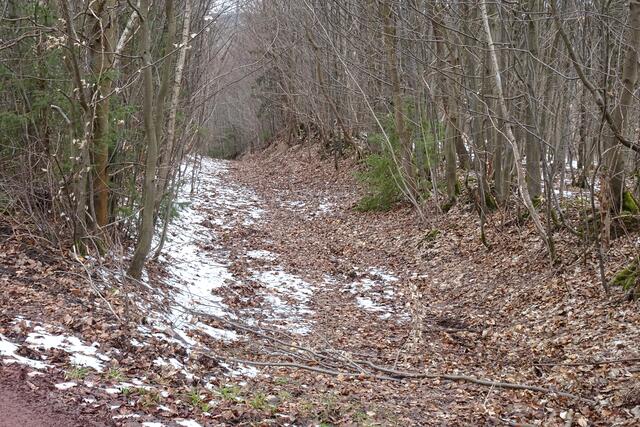 dieser Hohlweg führt zur Harzhochstraße B242