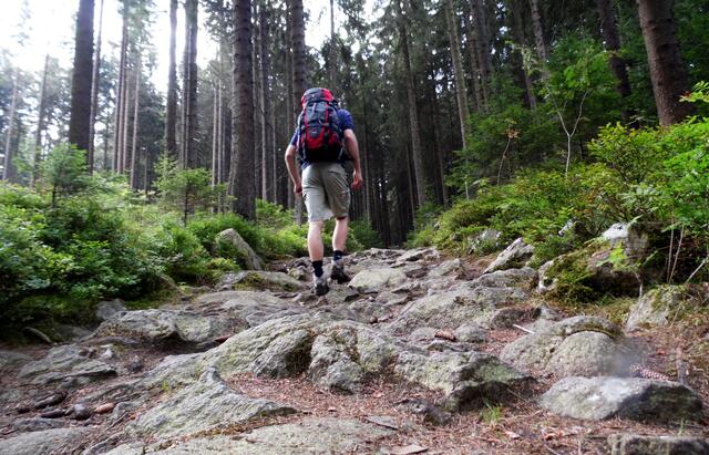 Wer in dieser Natur unterwegs ist, kann dem nicht selten stressigen Alltagseinerleih entfliehen und frische Kräfte sammeln. 