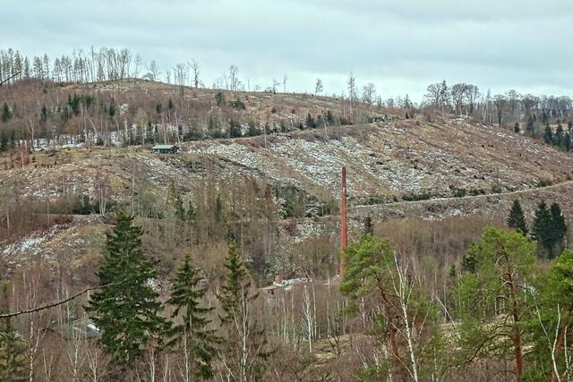 auch das Selketal ist stark von Waldschäden betroffen. In der Mitte befindet sich ein Schornstein der einstigen Rinkemühle. 