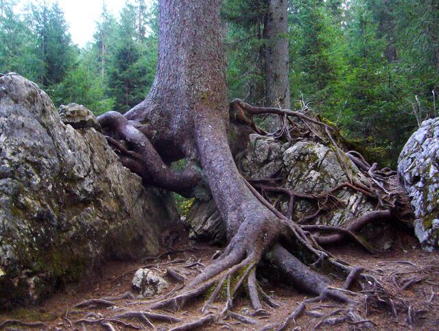 Oft ist Staunen angesagt, vor der Großartigkeit der Natur. Sei es im Großen...