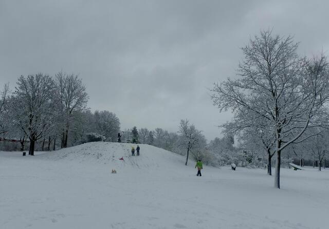 Rodelberg Bothfelder Anger