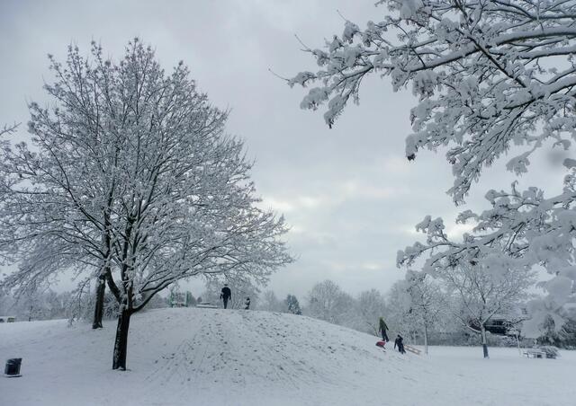 Rodelberg Bothfelder Anger...