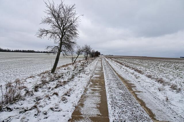  betonierte  Feldwege führen seit kurzem auf den Hochflächen um Dankerode bis zum Waldanfang des  Wippertals