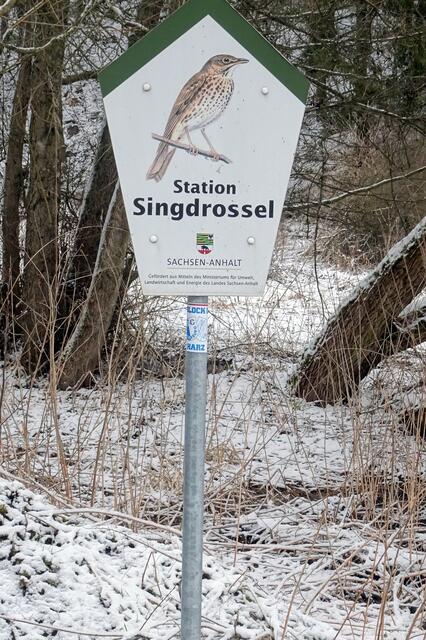 Naturerlebnisstation Singdrossel