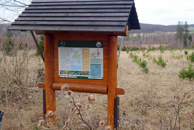 Informationstafel mit Neuanpflanzungen im Hintergrund