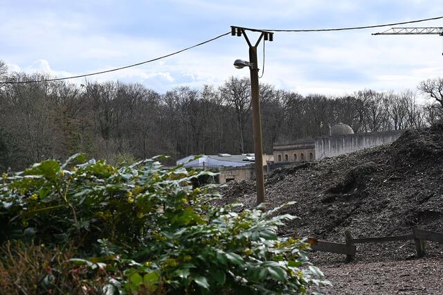 Baustelle: Der Dschungelpalast wird vergrößert.