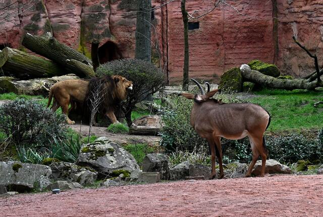 Am hannoverschen Sambesi