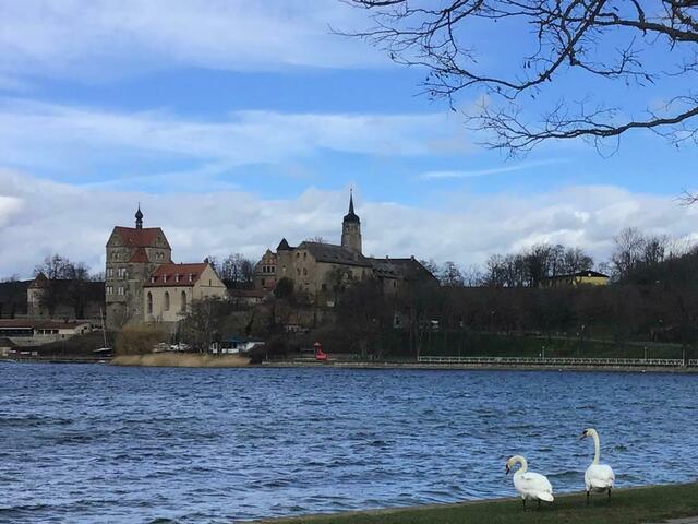 Wie bestellt, ein Schwanenpaar lief mir ins Bild...