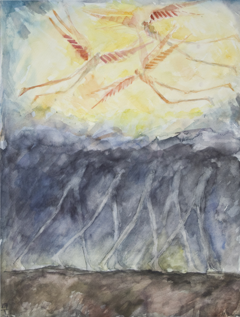 Die im Dunkeln sieht man nicht von Hubert Balze