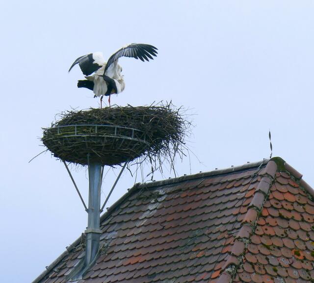 Mit einem Nothelfer in Sichtweite läßt sich unbekümmert Liebe machen