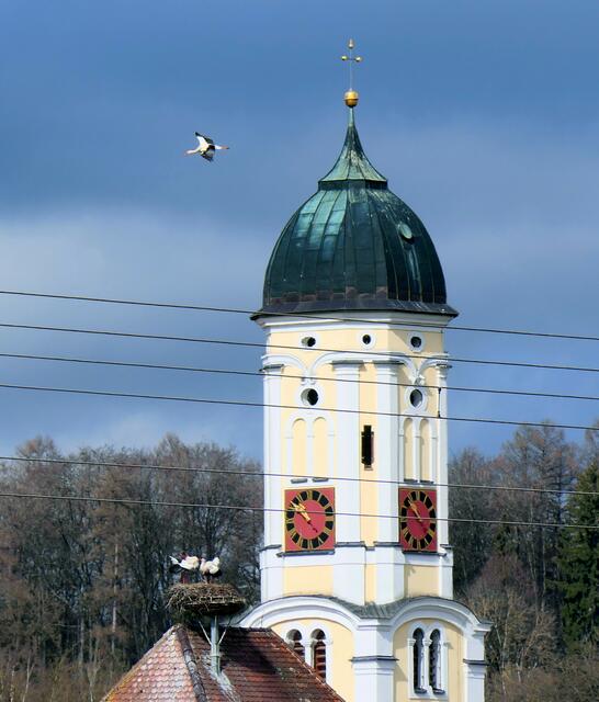 Über dem Kirchturm kreist ein eifersüchtiger Nebenbuhler