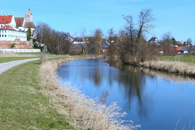 Nach dem Besuch bei den Störchen kann man bei einem Spaziergang am Schmutterufer noch einige Wasservögel beobachten ...