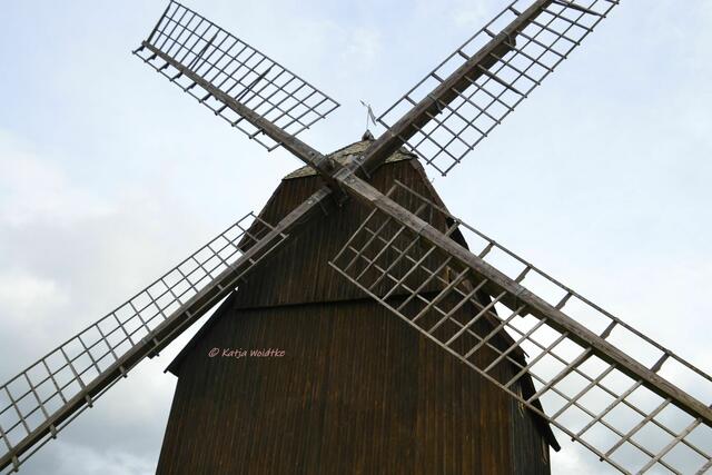 Mühlenmontag - Bockwindmühle Hänigsen (Foto: Katja Woidtke)