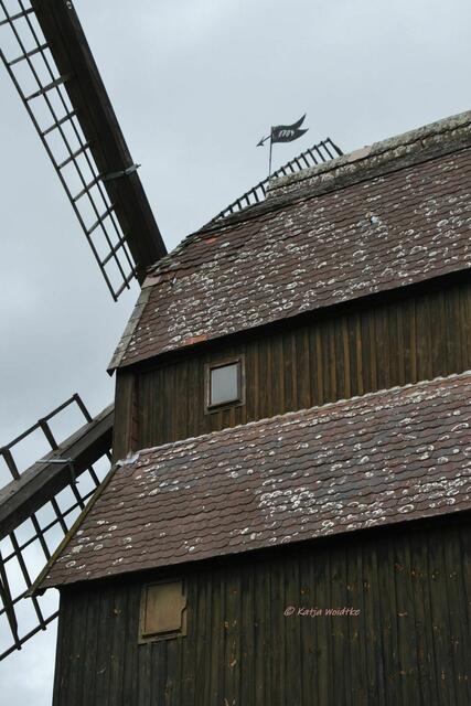 Mühlenmontag - Bockwindmühle Hänigsen (Foto: Katja Woidtke)