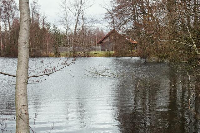 Gräfingründerteich