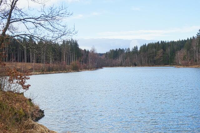 Frankenteich