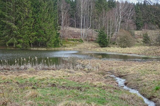 Zulauf zum 3 - Fritzenteich