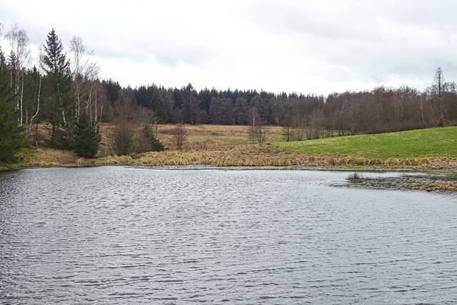 3- Fritzenteich