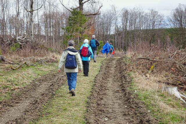 auf dem Weg vom 3- Fritzenteich zum oberen Kiliansteich