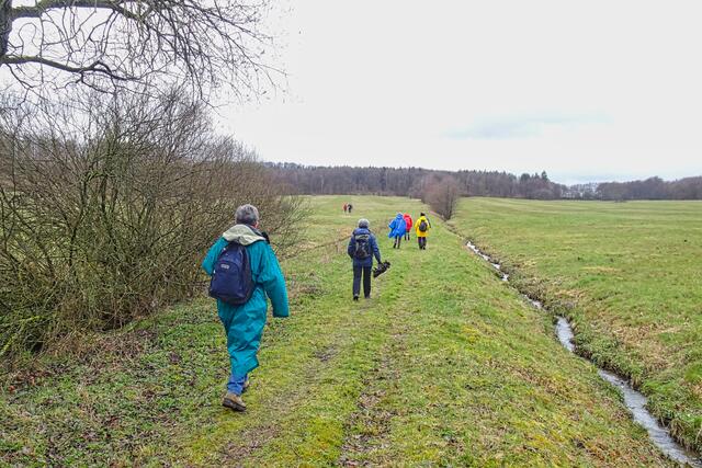 Wiesenweg über die Schindelbruchwiesen