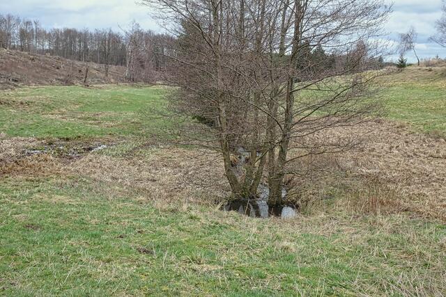 Anfang des Büschengraben,  hinter dem Staudamm des 3- Fritzenteiches 