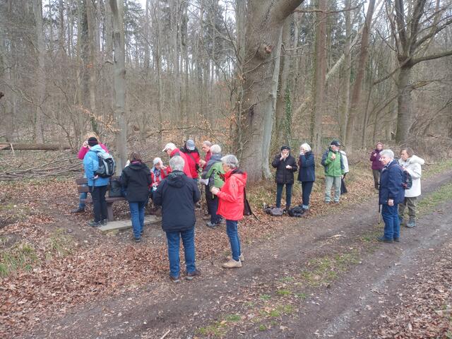 Am Hexenteich