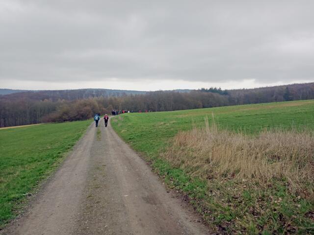 Rückweg