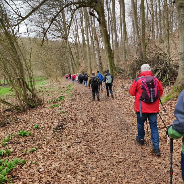 Wanderlust im Walterbachtal