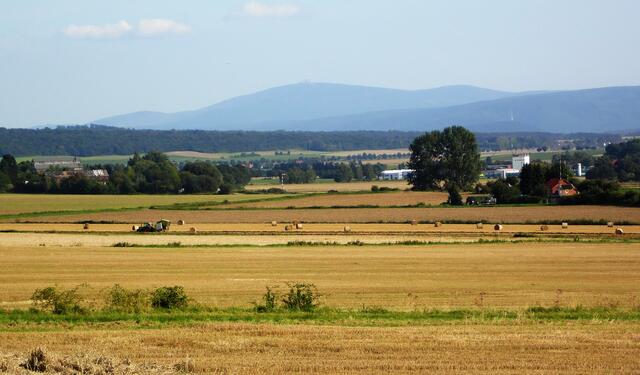 Und immer liegt in dieser schönen Landschaft der Brocken im Blickfeld, der uns auch immer wieder anzieht.