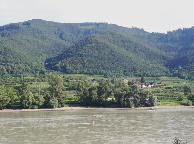 Blick auf die vorbei strömende Donau vom Friedhof St. Michael aus.